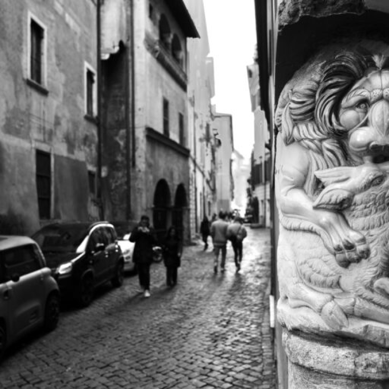 04B-Harry-Wilson-Photographer-Alley-Rome-2023