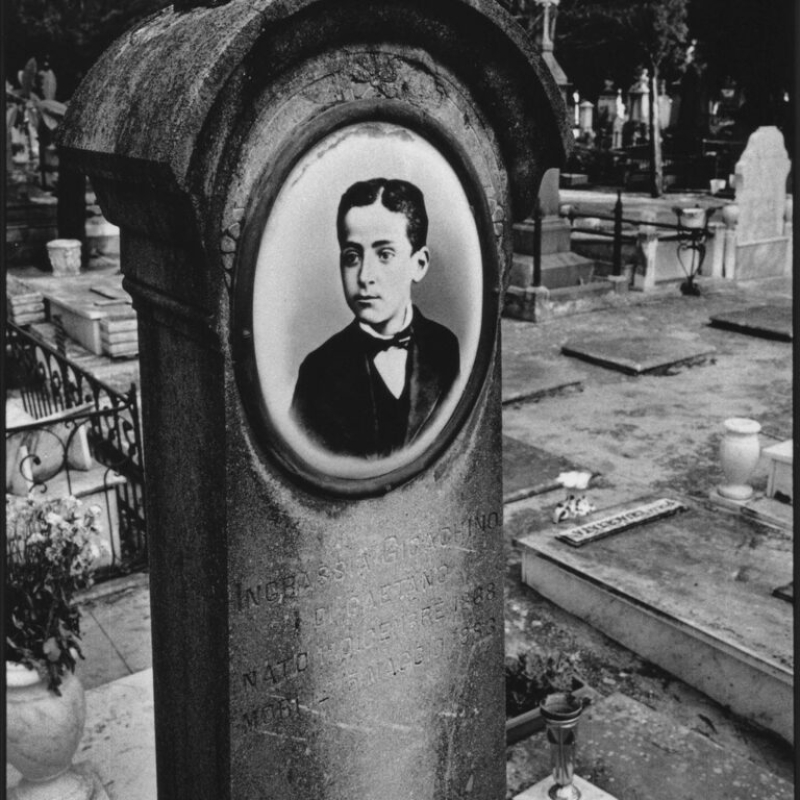 50-Harry-Wilson-Photographer-Cemetery-Palermo-Italy-2008